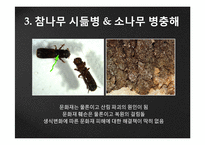 지구 온난화와 문화 유산-17