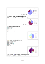 마케팅 보고서 - 미니 쿠쿠 마케팅 보고서-11