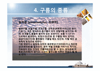 항공학 - 구름의 종류에 관해서-9