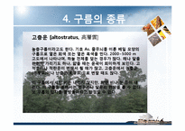 항공학 - 구름의 종류에 관해서-10