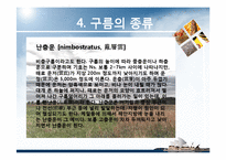 항공학 - 구름의 종류에 관해서-14