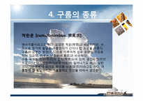 항공학 - 구름의 종류에 관해서-15