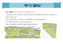 [세계도시 여행 계획서] 영국 런던 7박8일 여행 계획서-9