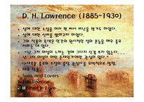[영문학사] The Birth of the Modern Novel때의 주요 작가와 내용-6