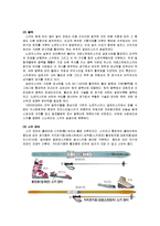 스키 - 알파인스키와 노르딕스키에 관해서-2