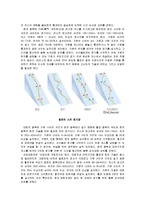 스키 - 알파인스키와 노르딕스키에 관해서-7