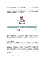 스키 - 알파인스키와 노르딕스키에 관해서-8
