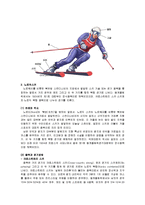 스키 - 알파인스키와 노르딕스키에 관해서-9