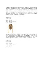 우리나라 문화재 - 하회탈 조사-5