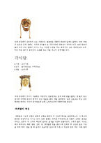 우리나라 문화재 - 하회탈 조사-6