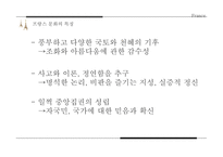 프랑스 문화의 정의, 프랑스 문화의 특징, 프랑스 대중문화에 관해-6
