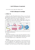 [기초 생물학] 단백질검출 실험 - 닌히드린 반응과 뷰렛 반응 실험을 통하여 단백질을 검정-1