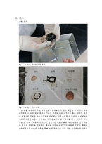 생물학 실험 - 소 눈 해부(a+자료)-4