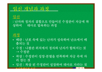 통합교육과정-주제통합교육과정-18