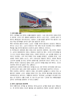 서브웨이와 까르푸의 글로벌 경영 성공 및 실패사례-8