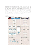 일생과정에서의 교육-영유아, 중고등, 대학, 특수 교육 문제점 고찰-13