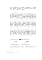군사정권 정치선전 전략 분석-9