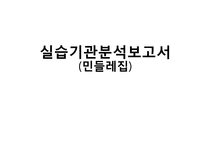 통영시부 민들레집 기관분석보고서(사회복지현장실습, 주간보호센터) PPT, 파워포인트-1