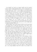 아시아나항공 경영분석과 SWOT분석및 아시아나항공 마케팅전략분석과 아시아나항공의 문제점과 해결방안제안및 나의견해정리 레포트-4