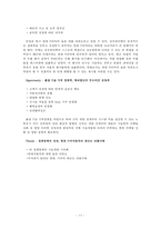 성우하이텍의 해외진출전략 분석-13