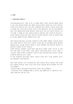 아웃도어 브랜드 노스페이스와 코오롱의 마케팅 전략-2