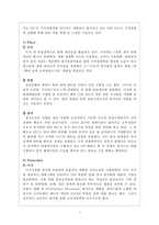 홍진HJC의 SWOT, 4P분석 및 해외진출 사례와 성공요인 분석-10