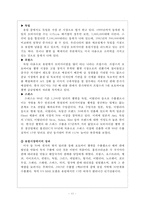 홍진HJC의 SWOT, 4P분석 및 해외진출 사례와 성공요인 분석-13