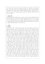 RyanAir(라이언에어) 경영 사례 연구-5
