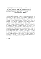미샤의 마케팅 전략-11