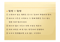 물리실험 각운동량보존-7