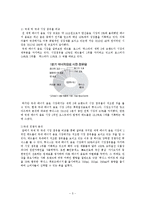 Red Bull의 국내시장전략-3