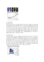 Red Bull의 국내시장전략-5