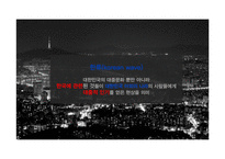 한류마케팅을 활용한 국제마케팅 사례-3