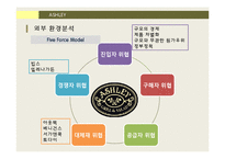 ASHLEY 경영 전략 분석-10