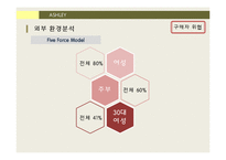 ASHLEY 경영 전략 분석-15