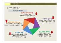ASHLEY 경영 전략 분석-16