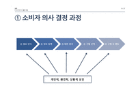 프로스펙스W 소비자 의사결정과정 분석-11
