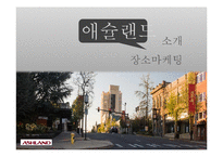 ASHLAND 장소 마케팅 연구-5