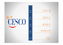 CESCO 해외진출 마케팅 전략-2