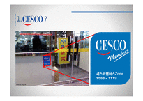 CESCO 해외진출 마케팅 전략-4