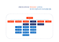 아모레퍼시픽 조직구조 분석-12
