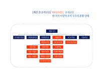 아모레퍼시픽 조직구조 분석-13