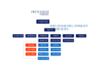 아모레퍼시픽 조직구조 분석-15