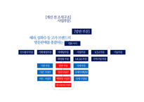 아모레퍼시픽 조직구조 분석-16
