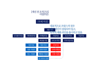 아모레퍼시픽 조직구조 분석-17