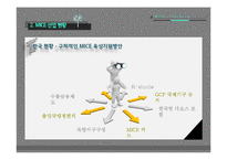 창조경제와 MICE산업-16