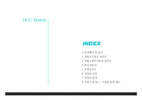 BCG Matrix & GE Matrix-2