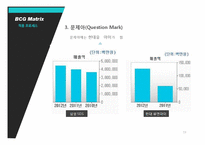 BCG Matrix & GE Matrix-19