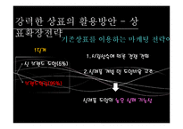 브랜드 확장전략 사례 연구-4