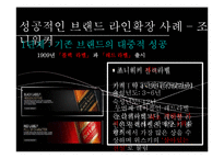 브랜드 확장전략 사례 연구-12